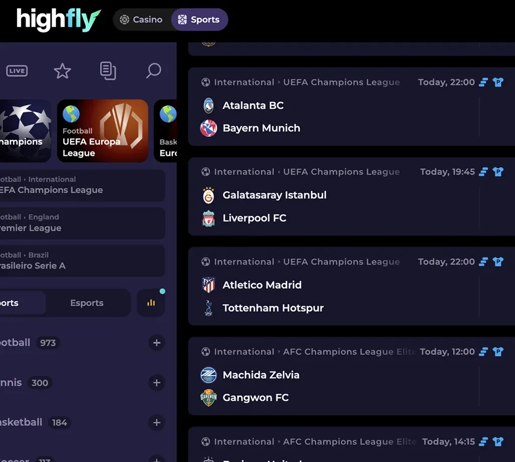 Highflybet Casino9.webp